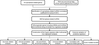 Development and validation of cuproptosis-related gene signature in the prognostic prediction of liver cancer